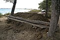 DSC04015