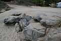 DSC04019
