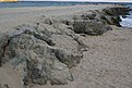 DSC04020