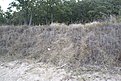 DSC04021