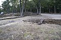 DSC04022