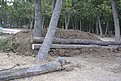 DSC04023