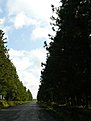 P1040407