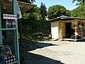 P1040519