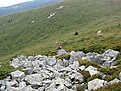 IMG 0608 (Large)