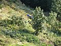 IMG 0680 (Large)