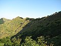 IMG 0688 (Large)
