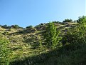 IMG 0697 (Large)