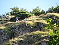IMG 0698 (Large)