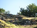 IMG 0703 (Large)