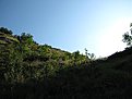 IMG 0705 (Large)
