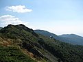 IMG 0707 (Large)