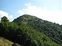 IMG 0712 (Large)