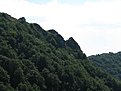 IMG 0718 (Large)