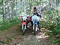 IMG 0722 (Large)