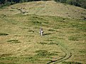 IMG 0730 (Large)