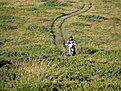 IMG 0731 (Large)