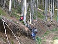 IMG 0758 (Large)