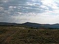 IMG 0762 (Large)