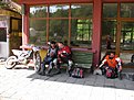 IMG 0763 (Large)