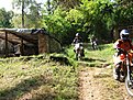 IMG 0769 (Large)