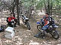 IMG 0262 (Large)