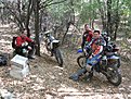 IMG 0263 (Large)
