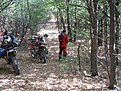 IMG 0264 (Large)