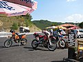 IMG 0772 (Large)
