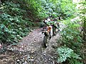 IMG 0782 (Large)