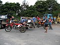IMG 0783 (Large)