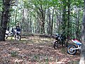 IMG 0789 (Large)