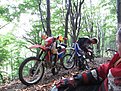 IMG 0791 (Large)