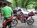 IMG 0796 (Large)