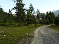 P1040766
