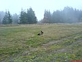 DSC03340
