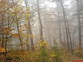 DSC03345