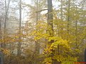 DSC03346