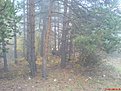 DSC03348