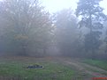 DSC03347