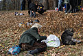DSC00647