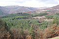 DSC00620