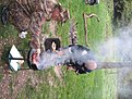 IMG 1415