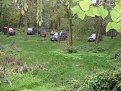 IMG 1431