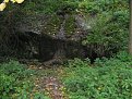 IMG 1432