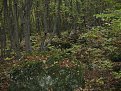 IMG 1442