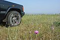 tn DSC06042