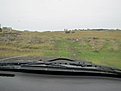 tn IMG 1710