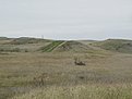 tn IMG 1711
