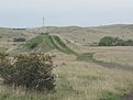 tn IMG 1713